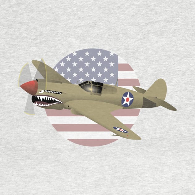 WW2 P-40 Warhawk Airplane by NorseTech